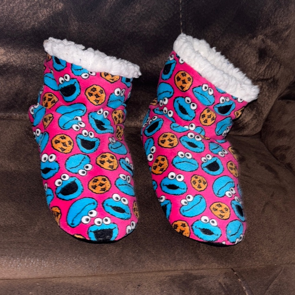 Women’s Cookie Monster Slippers